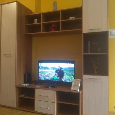 Apartman Marina Sa Garazom Novi Sad Exterior foto