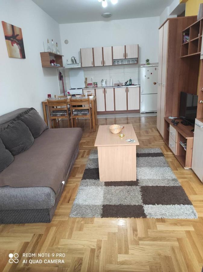Apartman Marina Sa Garazom Novi Sad Exterior foto