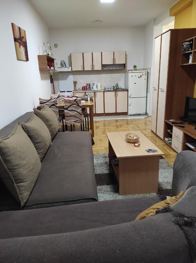 Apartman Marina Sa Garazom Novi Sad Exterior foto