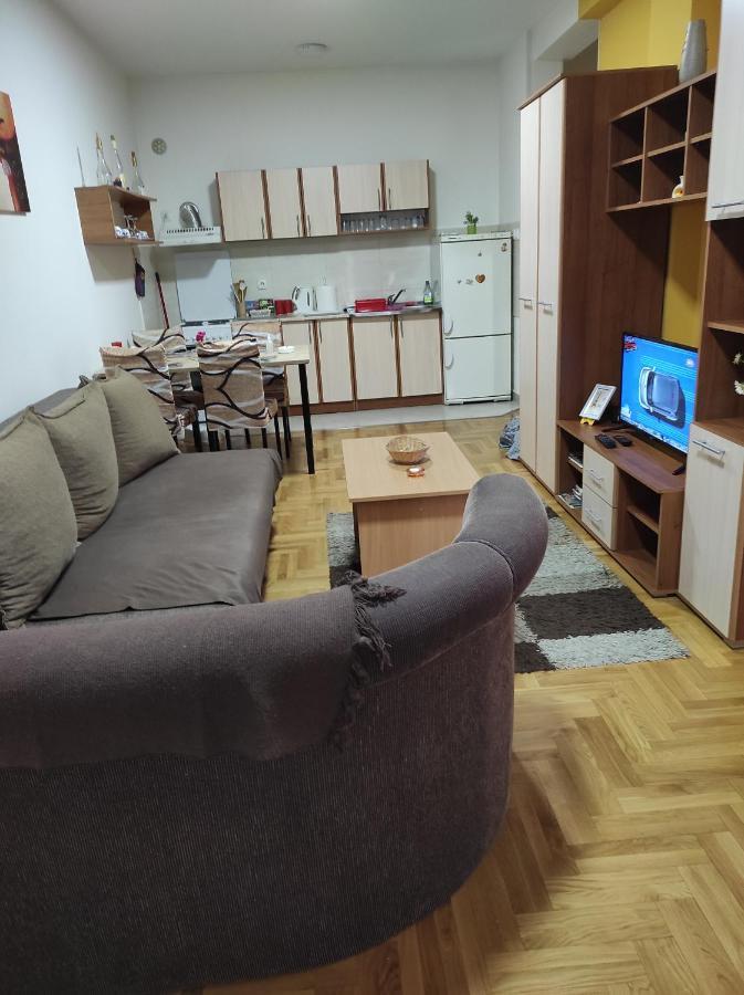 Apartman Marina Sa Garazom Novi Sad Exterior foto
