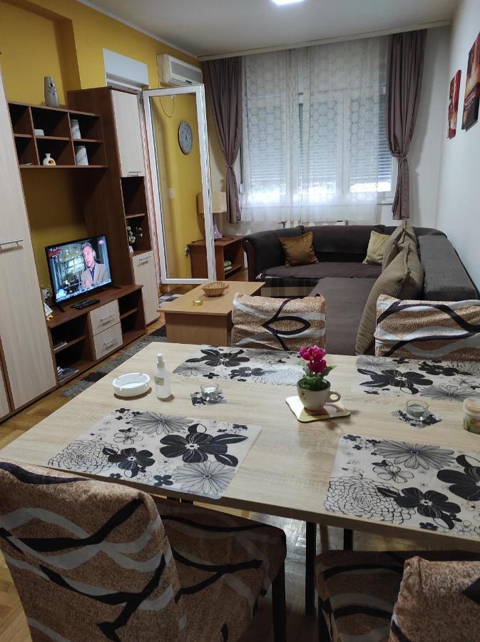 Apartman Marina Sa Garazom Novi Sad Exterior foto