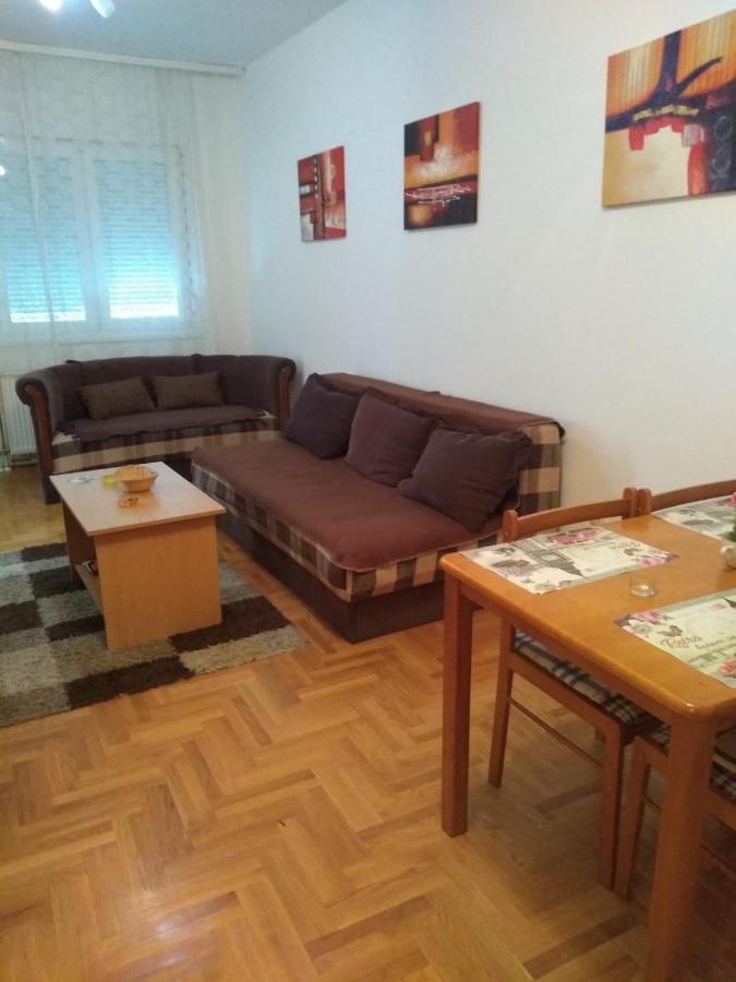 Apartman Marina Sa Garazom Novi Sad Exterior foto