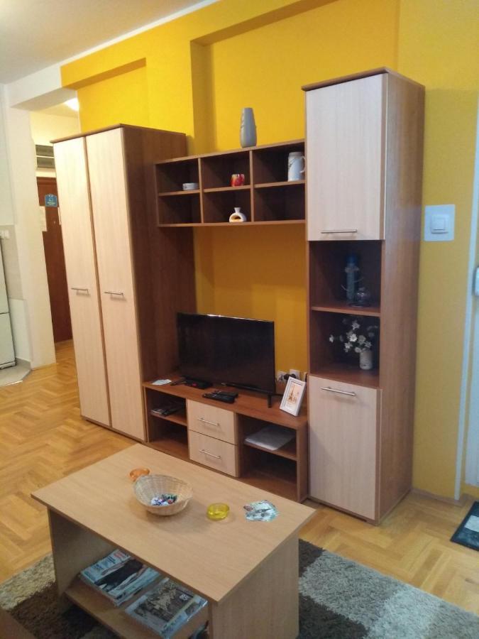 Apartman Marina Sa Garazom Novi Sad Exterior foto