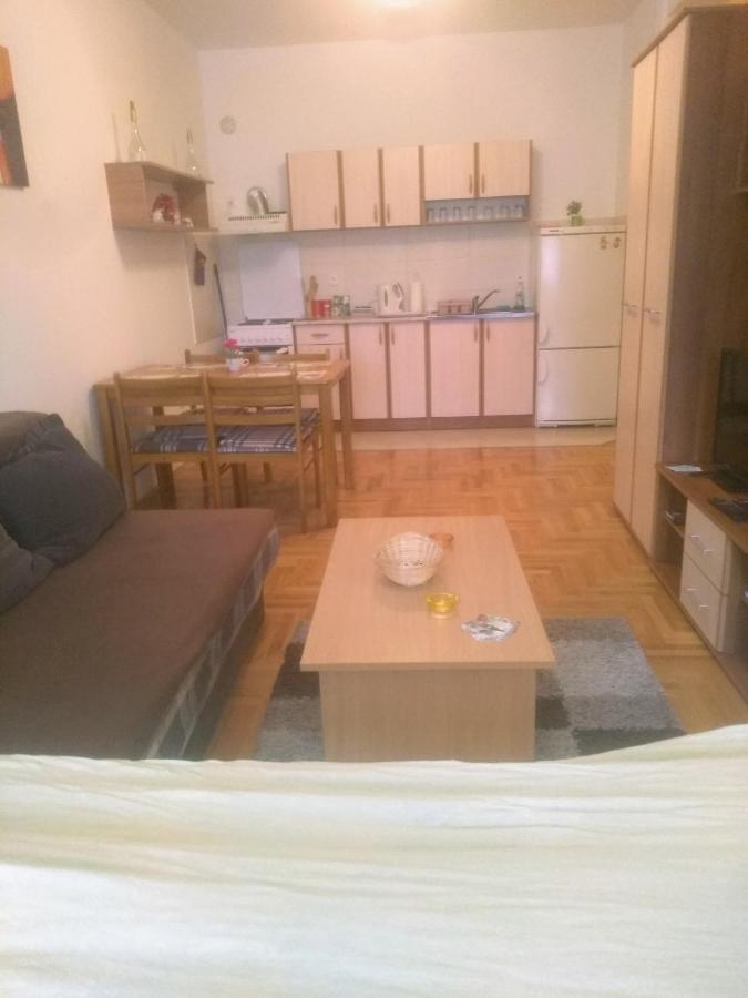 Apartman Marina Sa Garazom Novi Sad Exterior foto